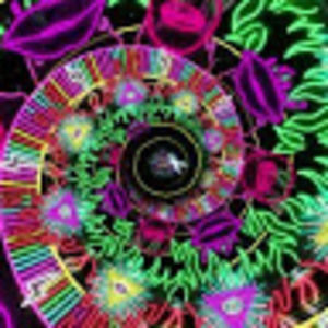 Meet your Posher, Jayson